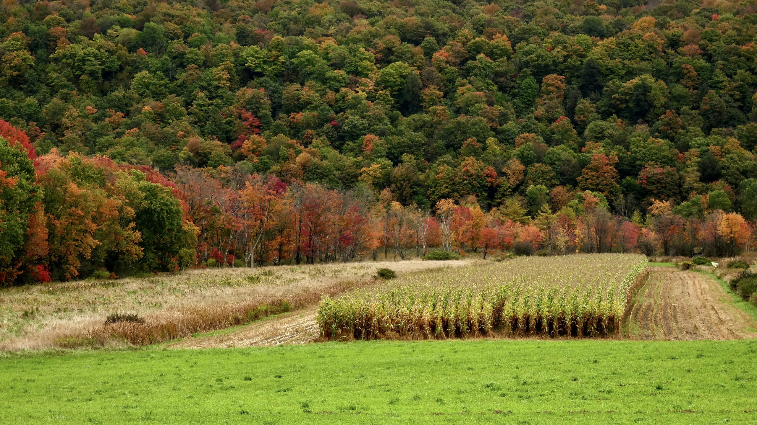 You are currently viewing How to Locate Agricultural Properties