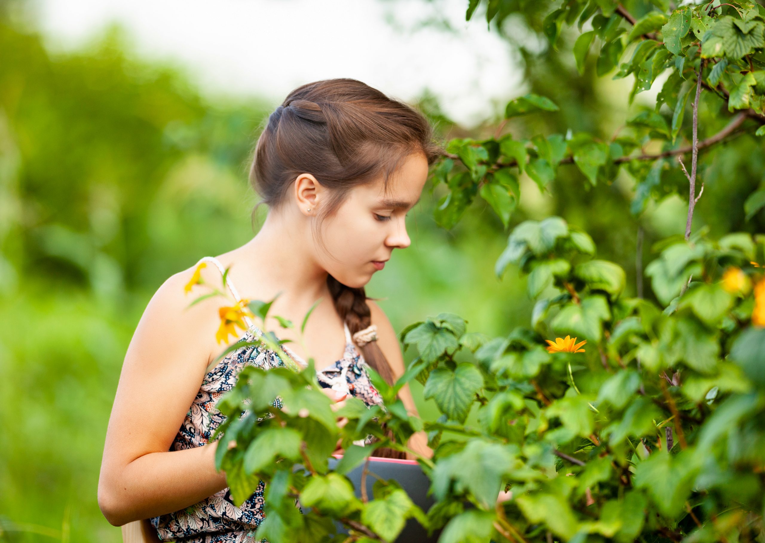 You are currently viewing What is the Good Benefit of Berries in Different Ages?